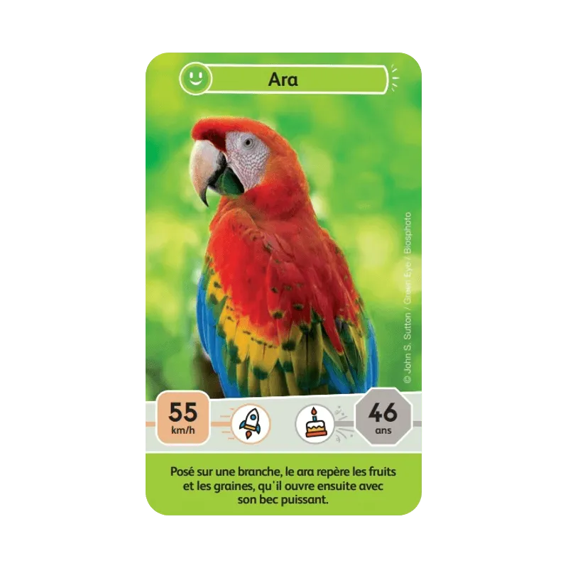 defis-nature-junior-mysteres-de-la-jungle (3).webp