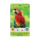 defis-nature-junior-mysteres-de-la-jungle (3).webp