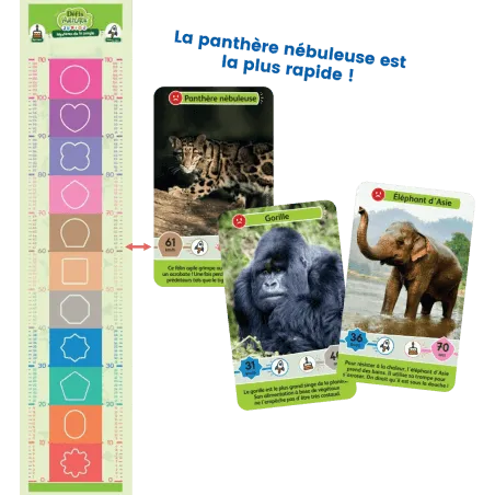 defis-nature-junior-mysteres-de-la-jungle (2).webp