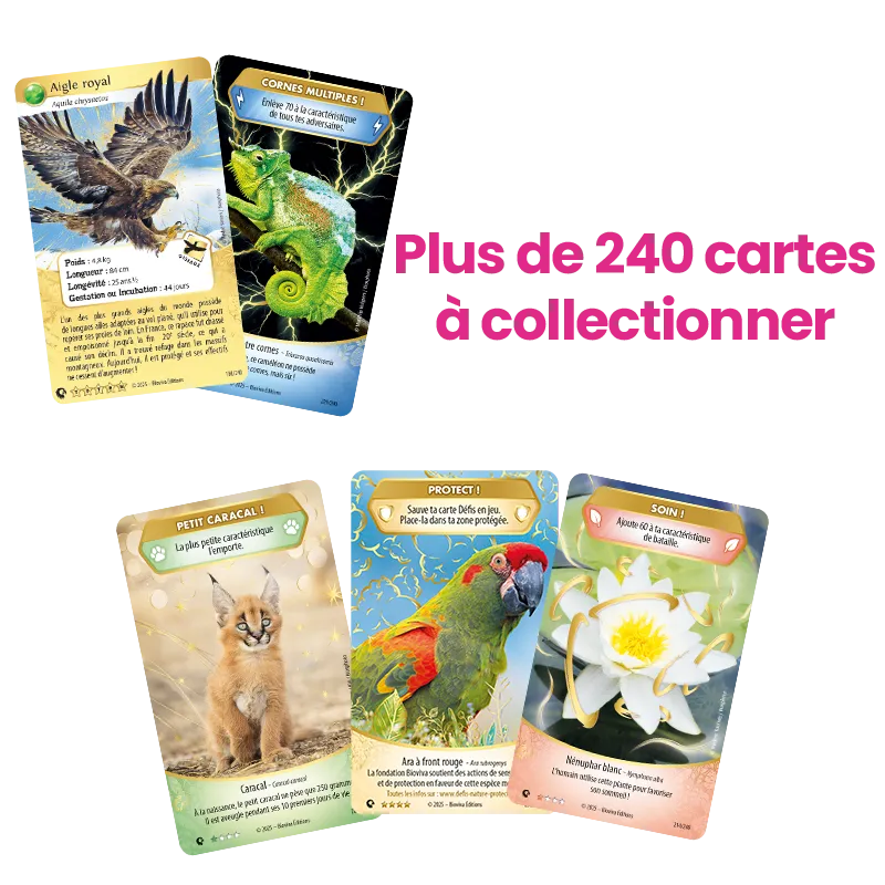 album-defis-nature-protect-lion-d-afrique (2).webp