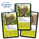 defis-nature-rois-du-camouflage (3).webp