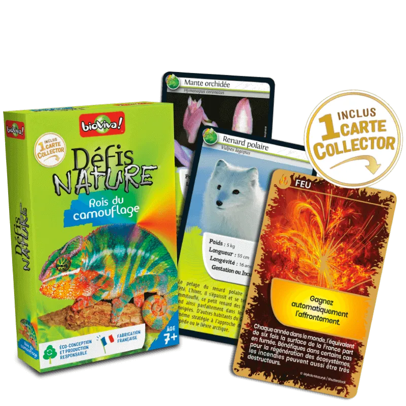 defis-nature-rois-du-camouflage (1).webp