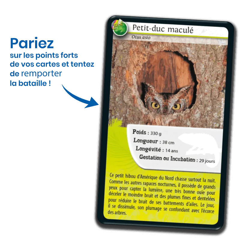 defis-nature-rois-du-camouflage (2).webp