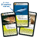 defis-nature-super-pouvoirs-des-animaux (3).webp