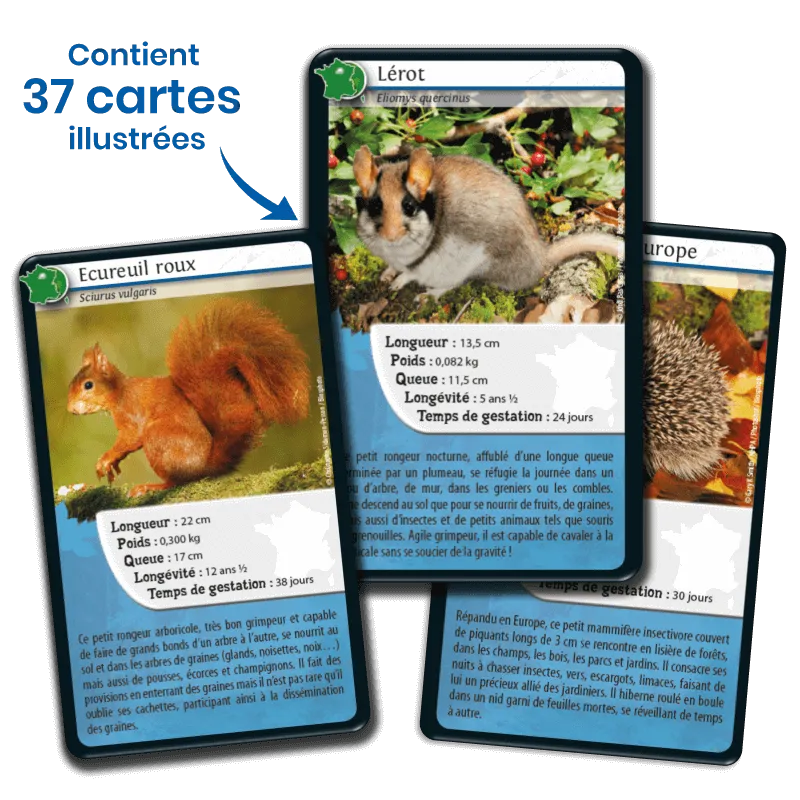 defis-nature-france (3).webp