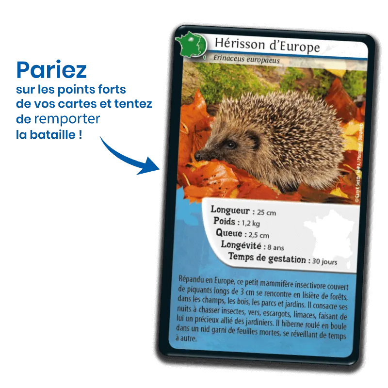 defis-nature-france (2).webp