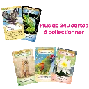 album-defis-nature-protect-edition-aventures-sauvages (3).webp