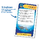 enigmes-dinosaures (2).webp