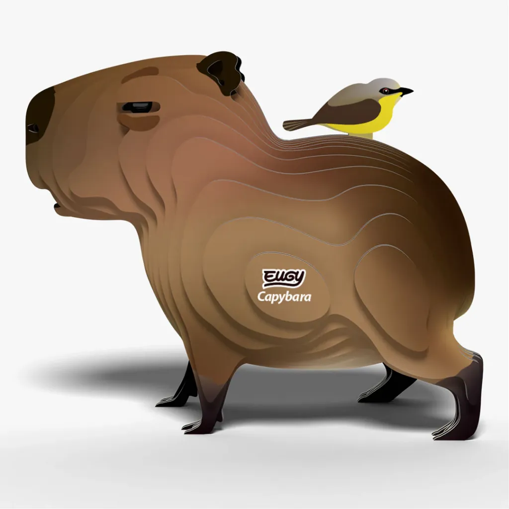 120_Capybara-3_2025.08.webp