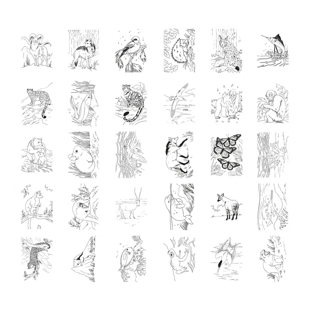 KIDYDRAW_PAD8_ANIGRAPH01_c6381b73-5d04-4232-a146-aebc6c54f362.webp
