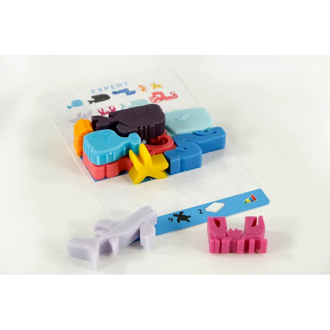 Seastax_sfeerfoto1.webp