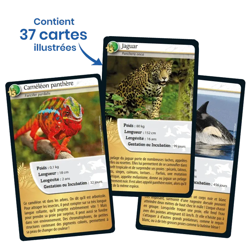 nature-challenge-15th-anniversary (3).webp