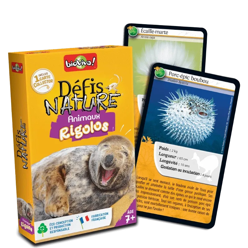defis-nature-animaux-rigolos (2).webp