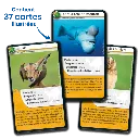 defis-nature-animaux-rigolos (3).webp