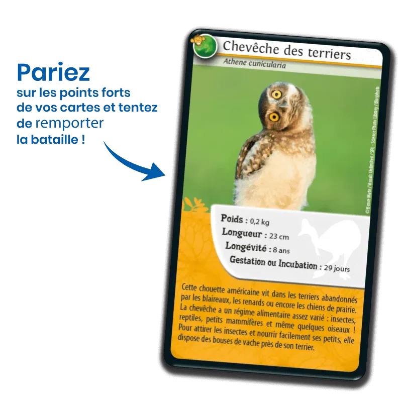 defis-nature-animaux-rigolos (1).webp