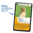 defis-nature-animaux-rigolos (1).webp