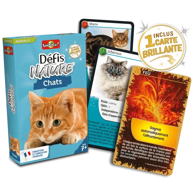 defis-nature-chats (1).webp