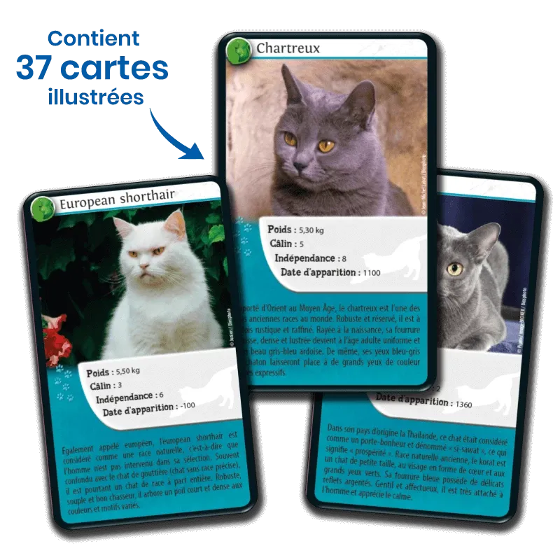 defis-nature-chats (3).webp