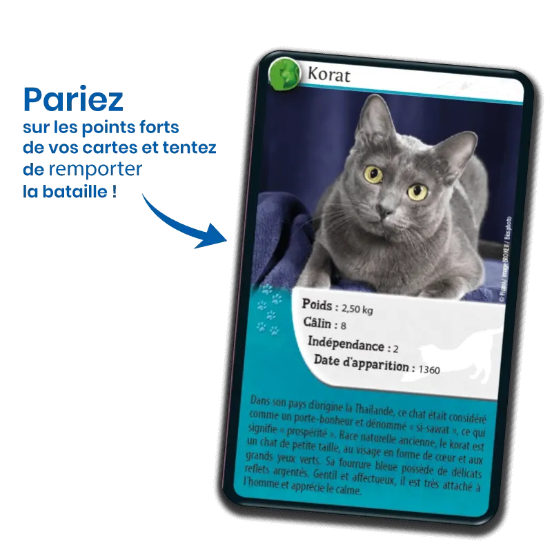 defis-nature-chats (2).webp