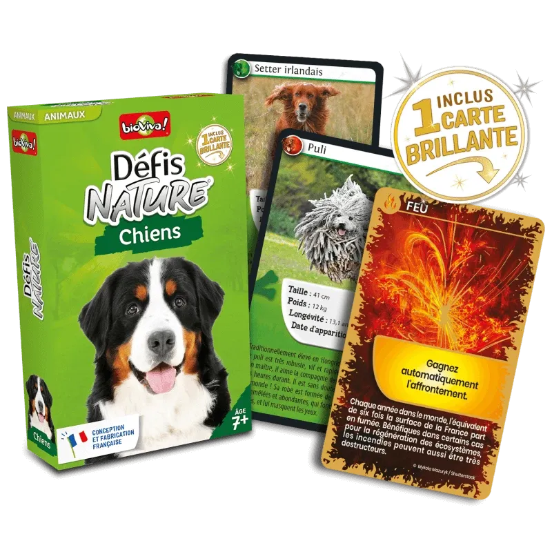 defis-nature-chiens (1).webp
