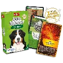 defis-nature-chiens (1).webp