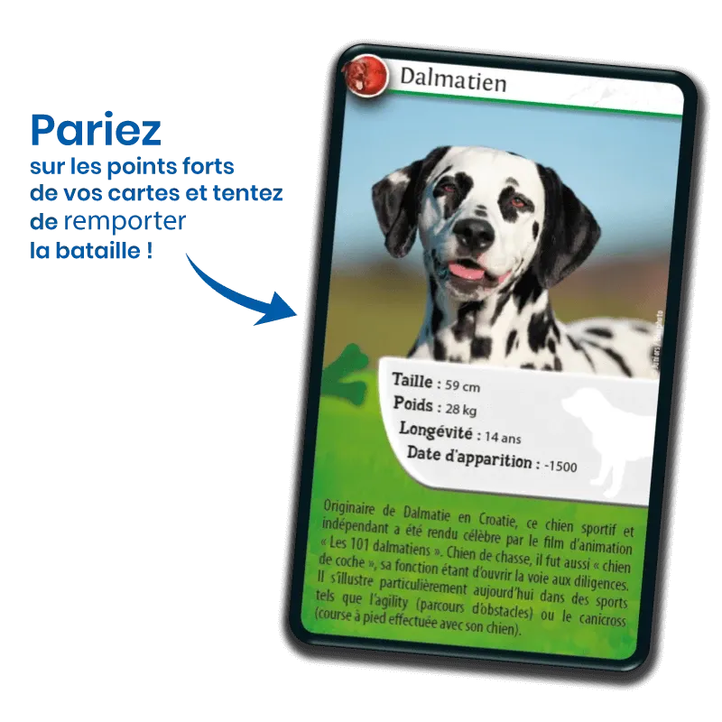 defis-nature-chiens (2).webp