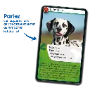 defis-nature-chiens (2).webp