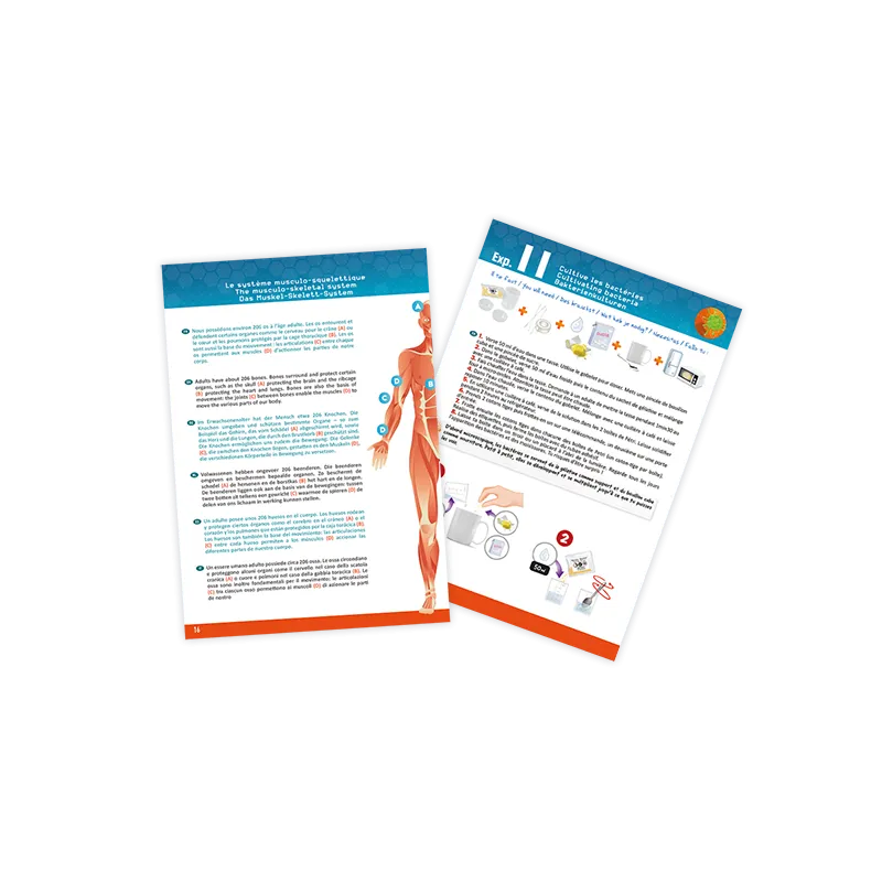 corps-humain (3).webp