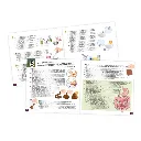 mini-lab-labo-crado (2).webp