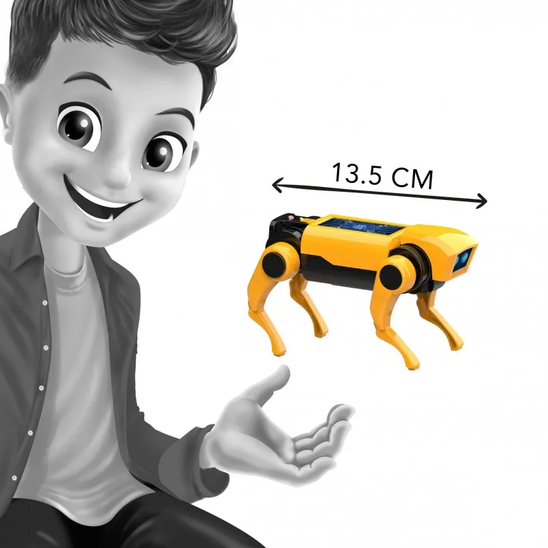 mini-lab-robot-chien-rc (6).webp