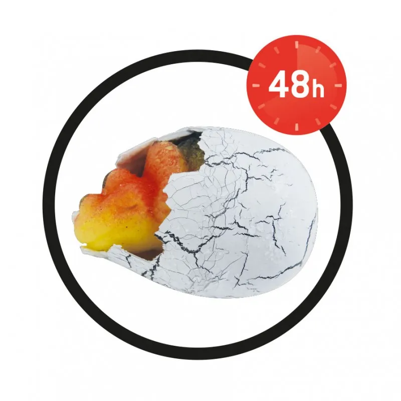 dino-oeuf-magique (2).webp