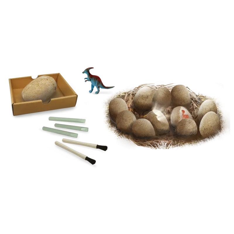 dino-maxi-pack (1).webp