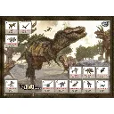 dino-maxi-pack (3).webp