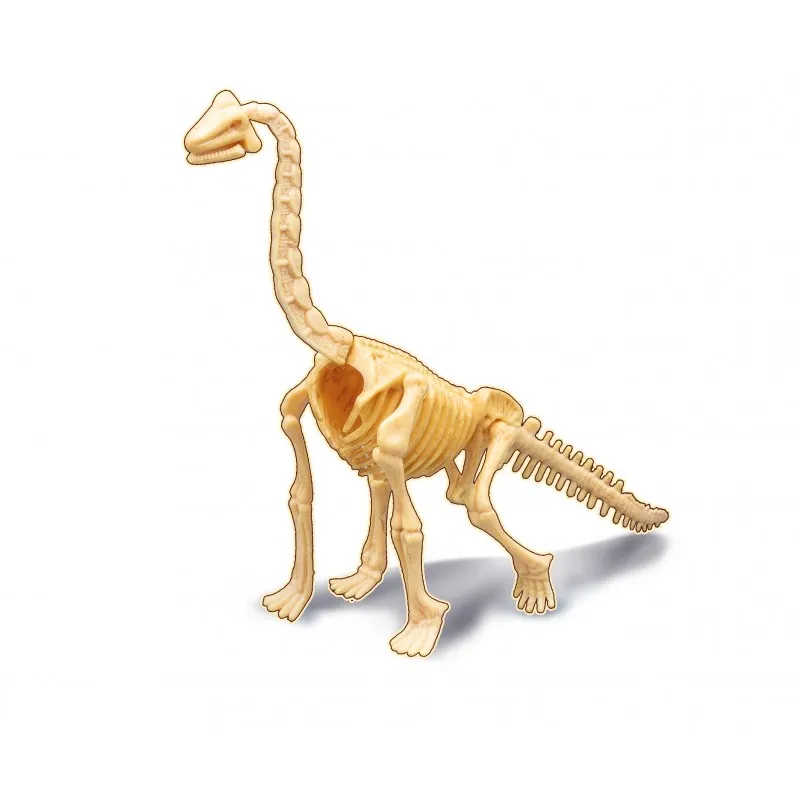 dino-dig-brachiosaurus (1).webp