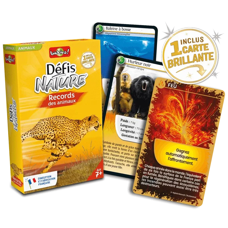 defis-nature-records-des-animaux (1).webp