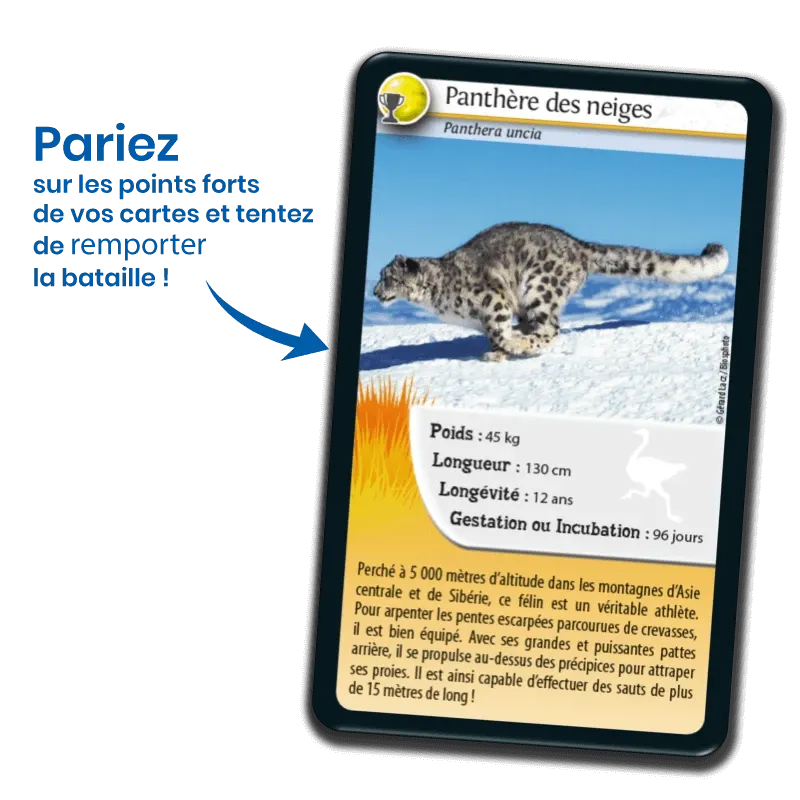defis-nature-records-des-animaux (3).webp