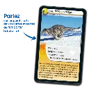 defis-nature-records-des-animaux (3).webp