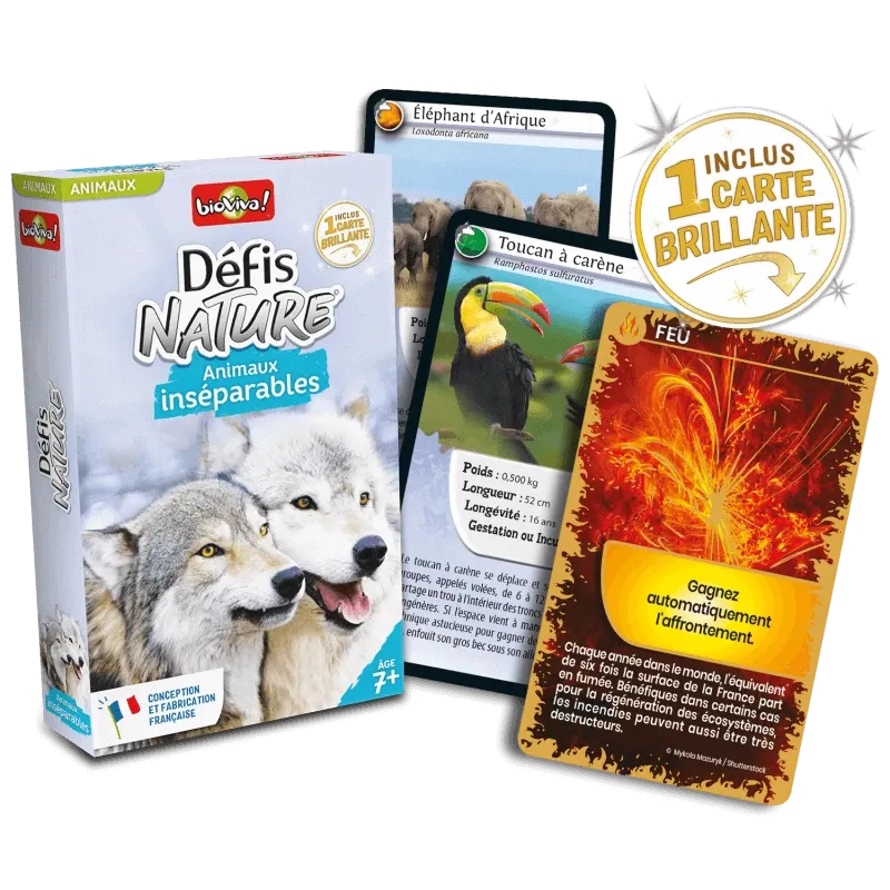 defis-nature-animaux-inseparables (1).webp