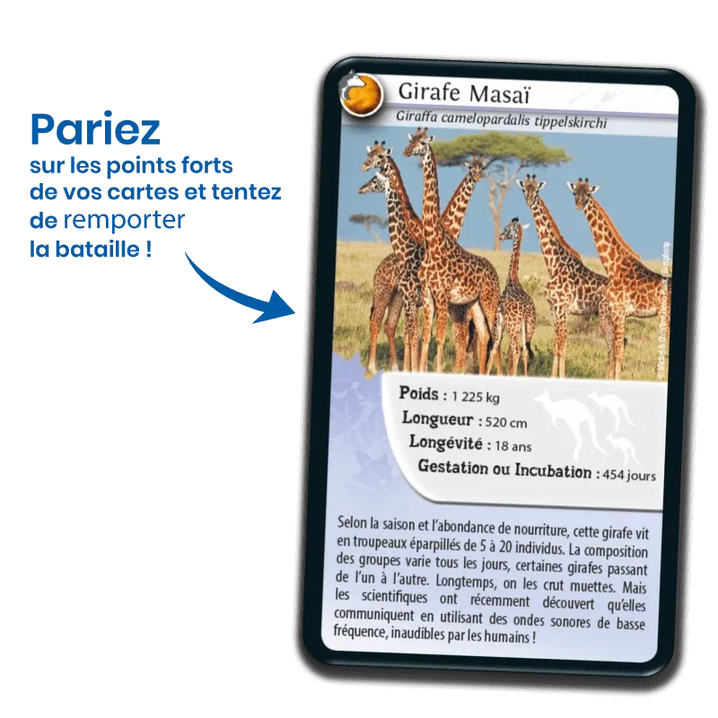 defis-nature-animaux-inseparables (3).webp