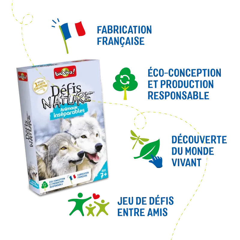 defis-nature-animaux-inseparables (4).webp