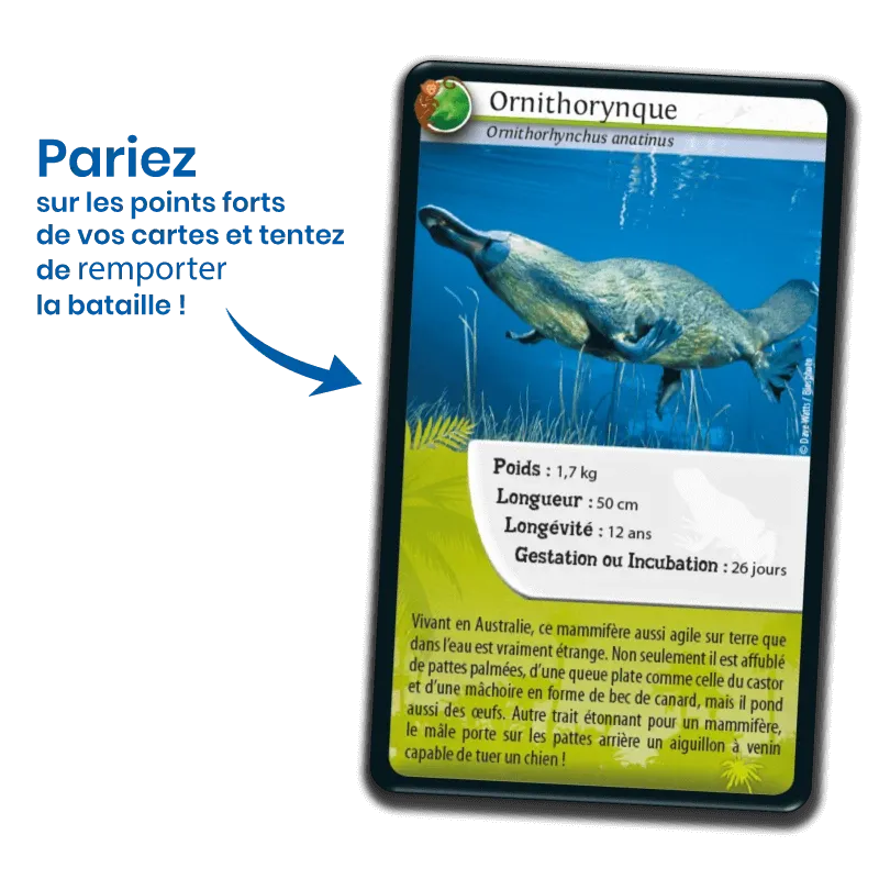 defis-nature-animaux-extraordinaires (3).webp