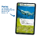 defis-nature-animaux-extraordinaires (3).webp