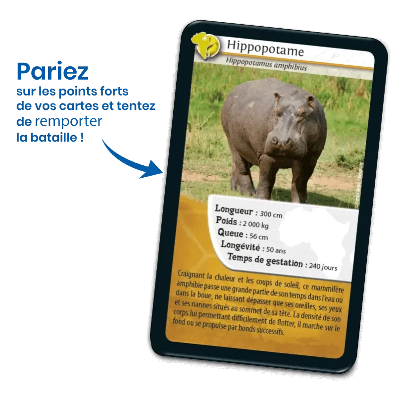 defis-nature-afrique (3).webp
