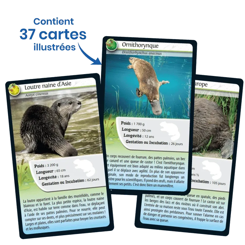 defis-nature-animaux-d-eau-douce (3).webp