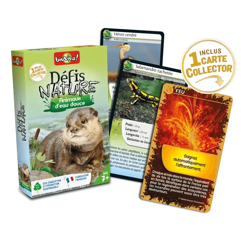 defis-nature-animaux-d-eau-douce (1).webp