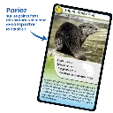 defis-nature-animaux-d-eau-douce (2).webp