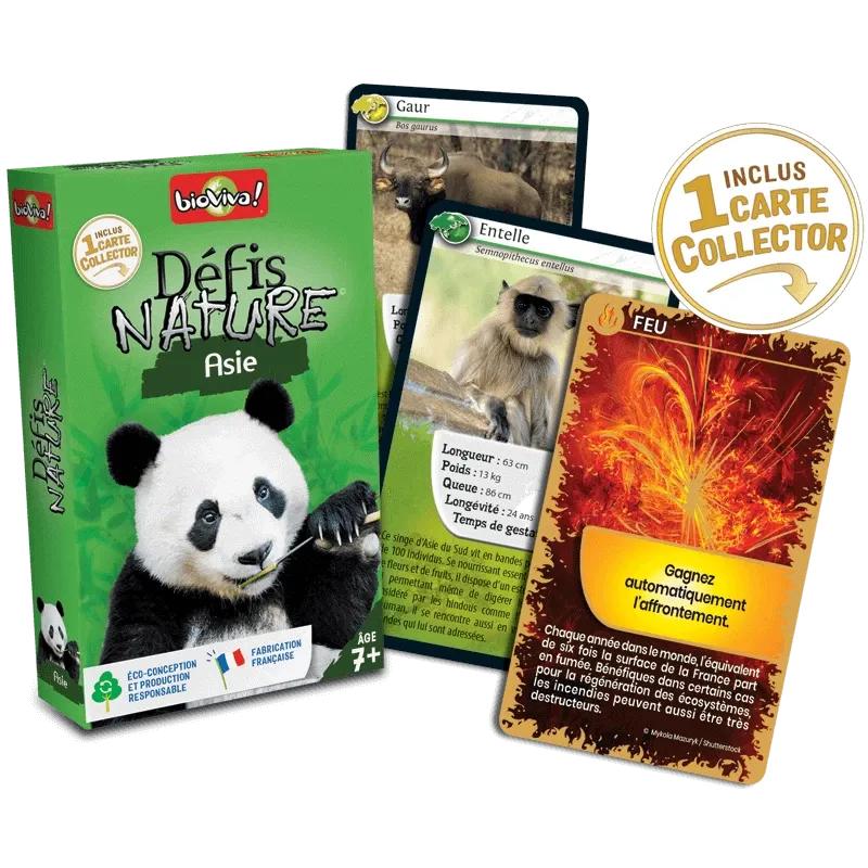 defis-nature-asie (2).webp