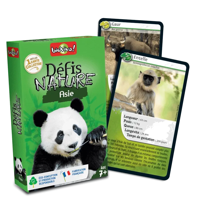 defis-nature-asie (1).webp