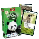 defis-nature-asie (1).webp