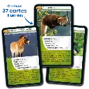 defis-nature-asie (4).webp